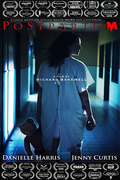 Movie poster for Postpartum (2016)
