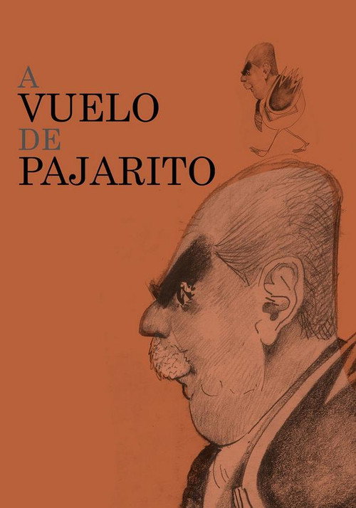 Movie poster for A vuelo de pajarito (2014)
