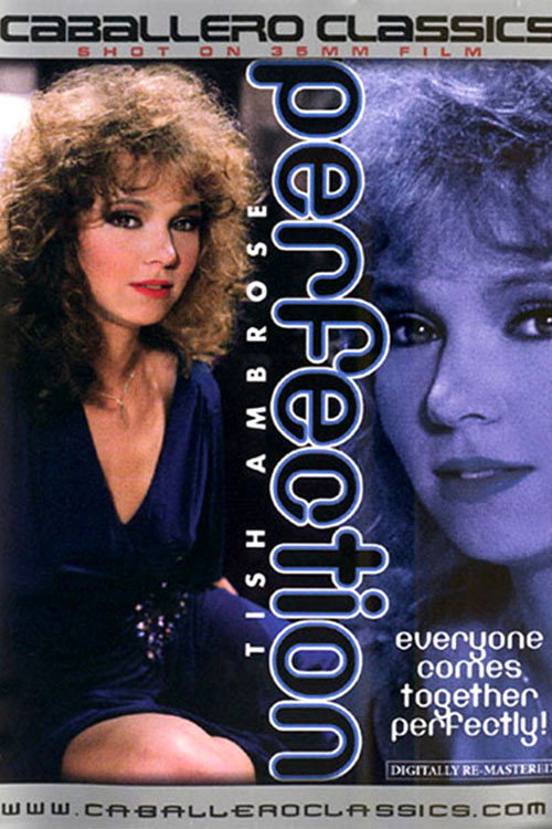 Movie poster for Perfection (1985)