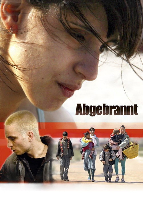 Movie poster for Burnout (2011)