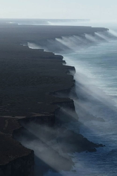 Signatures of Earth poster