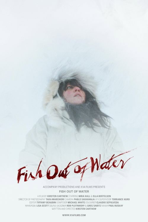 Movie poster for Fish Out of Water