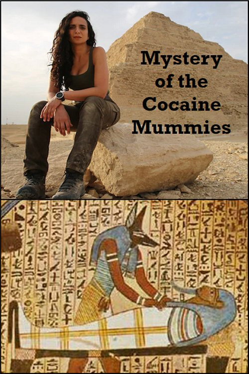 Movie poster for Mystery of the Cocaine Mummies (1996)