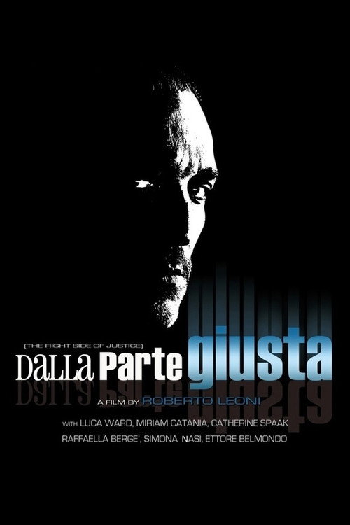 Movie poster for Dalla parte giusta (2005)