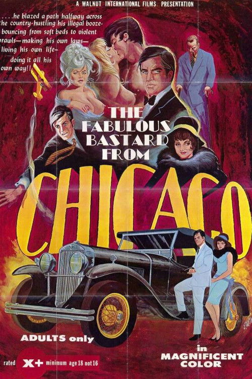 Movie poster for The Fabulous Bastard from Chicago (1969)