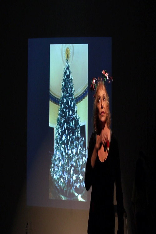 Movie poster for Pinea Silva: Lost Meanings of the Christmas Tree (2012)