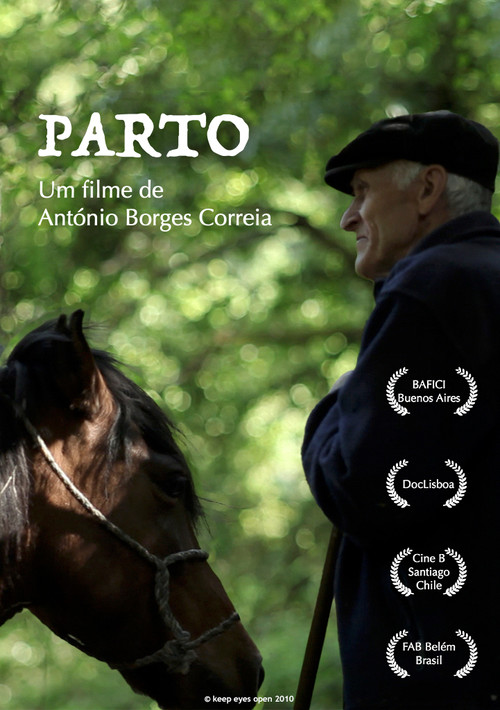 Movie poster for Parto (2010)