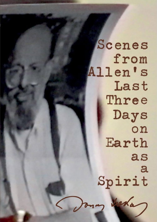 Movie poster for Scenes from Allen's Last Three Days on Earth as a Spirit (1997)