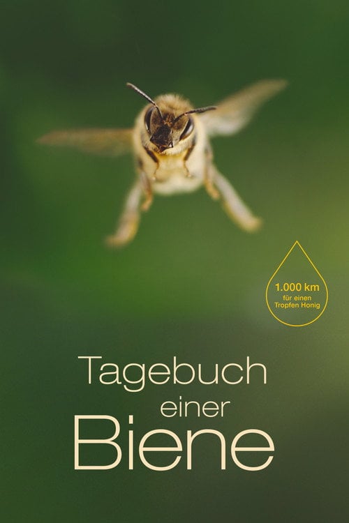 Movie poster for Diary of a Bee (2021)