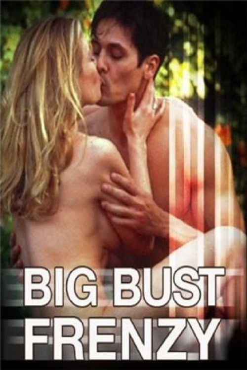 Movie poster for Big Bust Frenzy (2007)