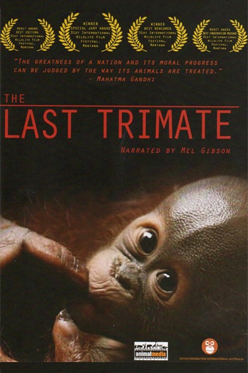 Movie poster for The Last Trimate (2008)