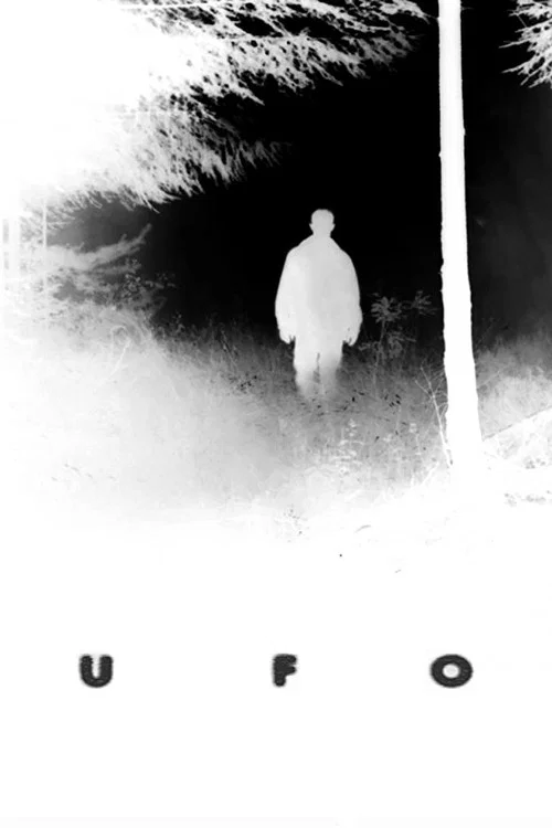 Movie poster for UFO: It Is Here (2016)