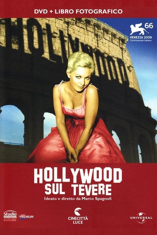 Movie poster for Hollywood sul Tevere (2009)