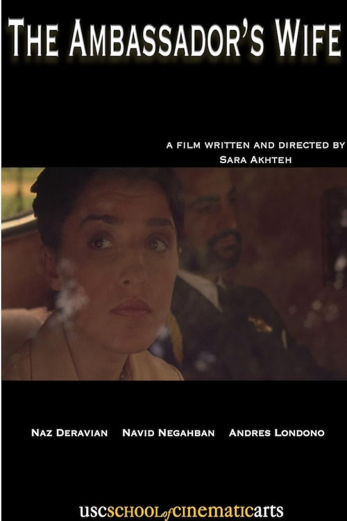 Movie poster for The Ambassador's Wife (2009)