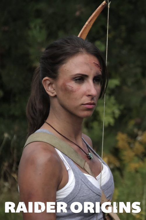 Raider Origins poster