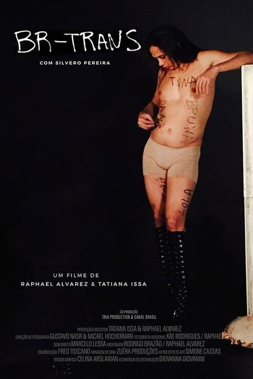 Movie poster for BR Trans (2021)
