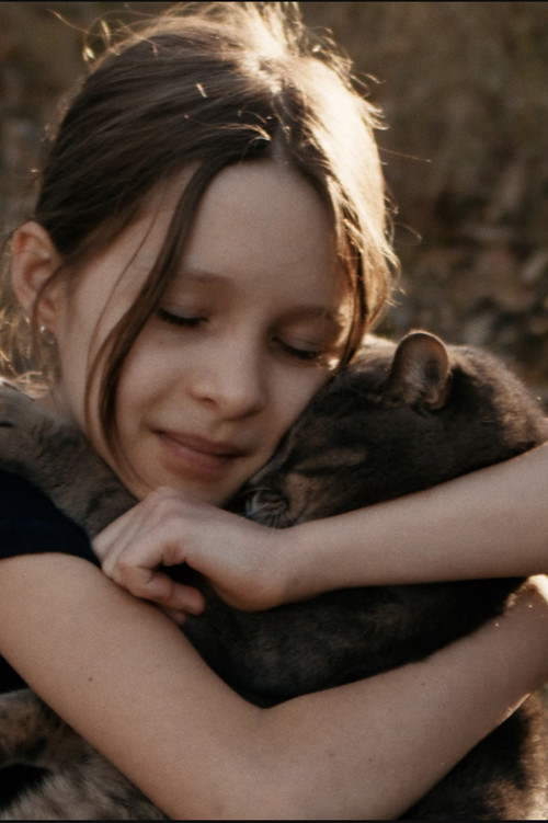 Movie poster for Save the Cat