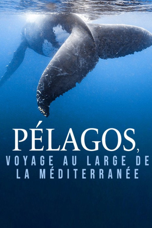 Movie poster for Pélagos, voyage au large de la Méditerranée (2023)