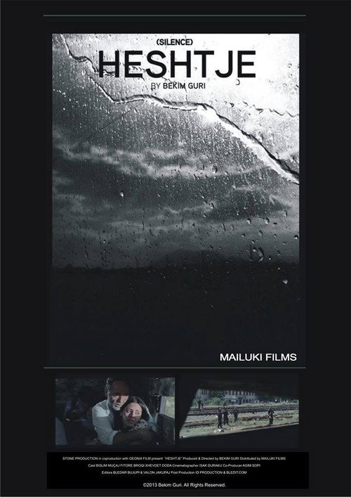 Movie poster for Silence (2014)
