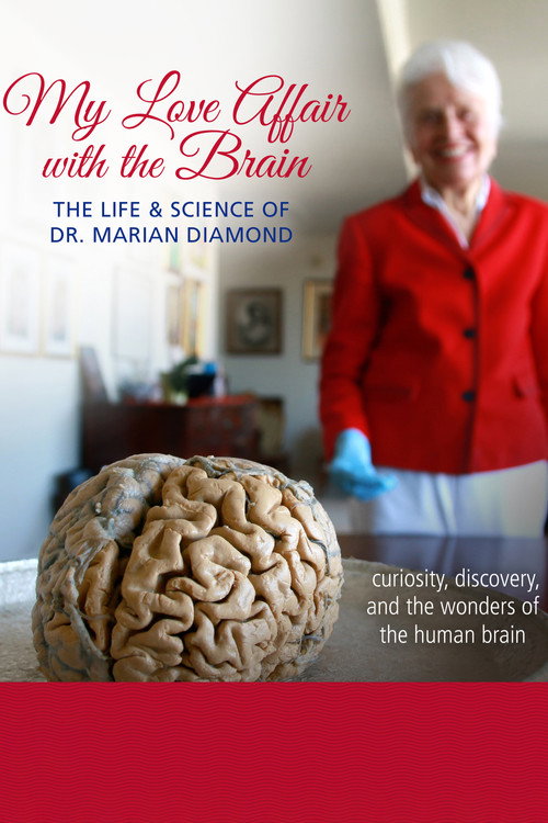 Movie poster for My Love Affair with the Brain (2016)