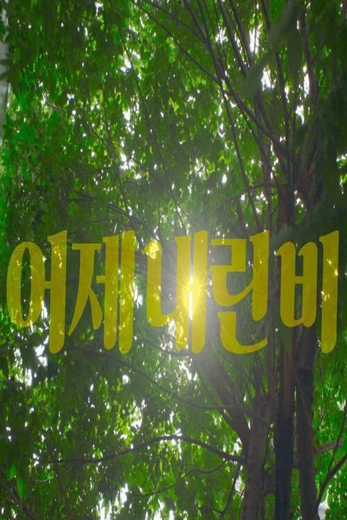 Movie poster for After the Rain (2020)