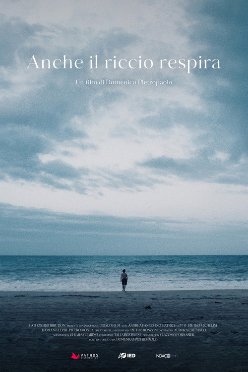 Movie poster for Anche il riccio respira