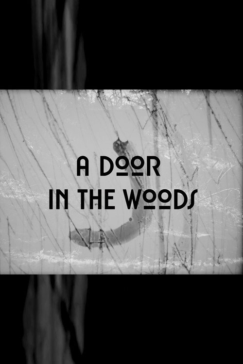 Movie poster for A Door in the Woods (2022)
