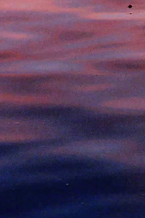 Movie poster for Color-Blind (2019)
