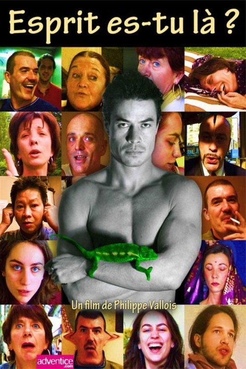 Movie poster for Spirit, Are You There? (2008)