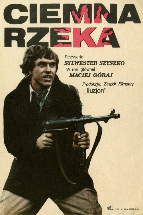 Movie poster for Dark River (1974)