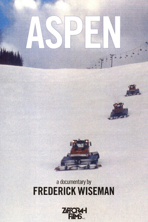 Movie poster for Aspen (1991)