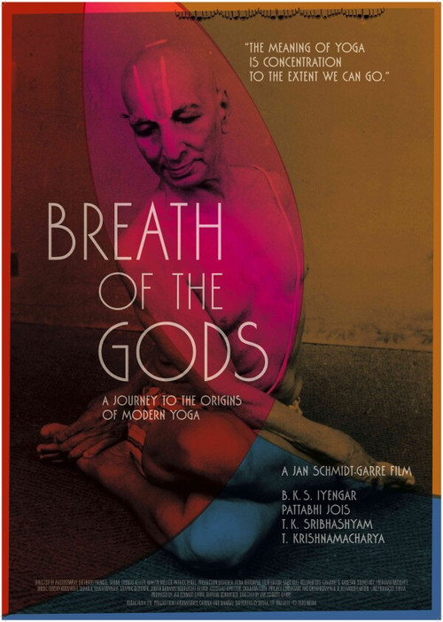 Movie poster for Breath of the Gods (2012)