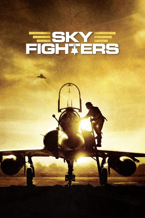 Movie poster for Sky Fighters (2005)