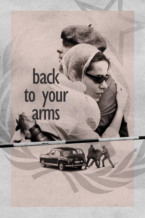 Movie poster for Back to Your Arms (2010)