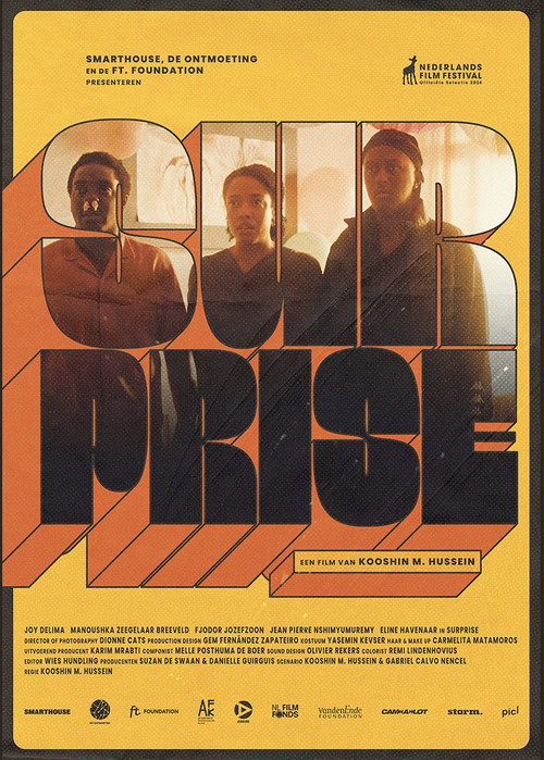 Movie poster for Surprise (2024)