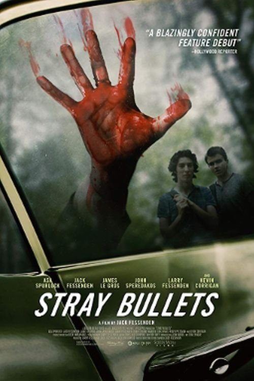Movie poster for Stray Bullets (2017)