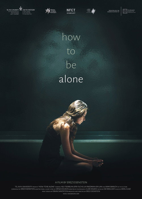 Movie poster for How to Be Alone (2016)