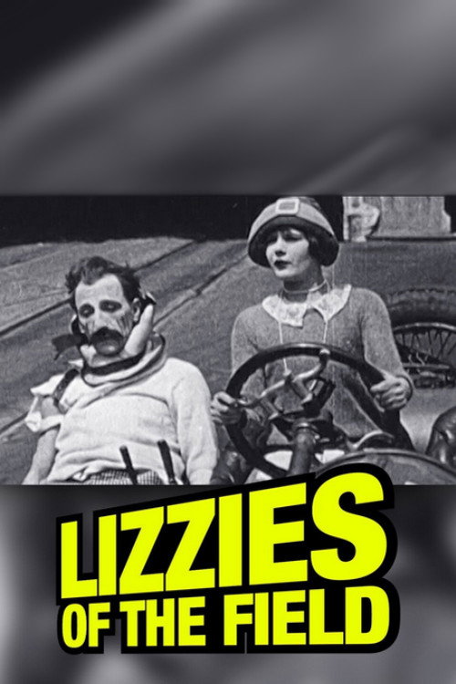 Movie poster for Lizzies of the Field (1924)