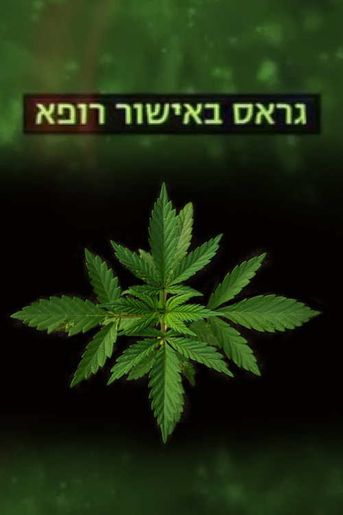 Movie poster for Medical Weed (2009)