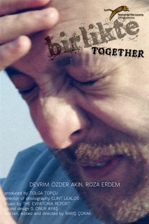 Movie poster for Together (2012)