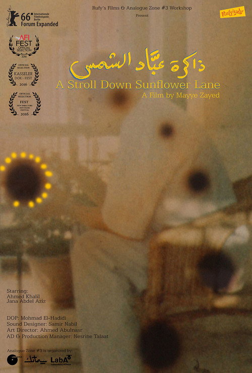 Movie poster for A Stroll Down Sunflower Lane (2016)