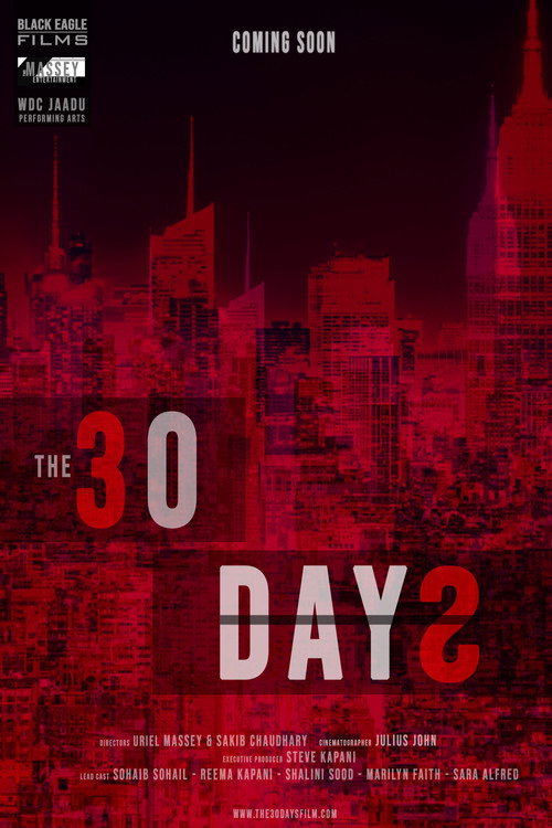 Movie poster for The 30 Days (2023)