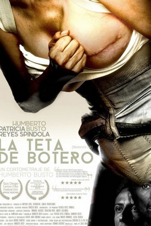 Movie poster for La teta de Botero (2015)