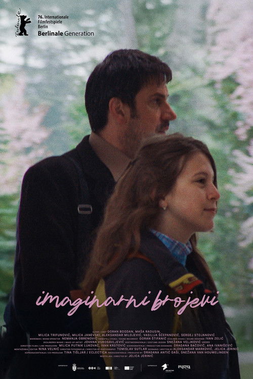 Movie poster for Imaginary Numbers (2026)