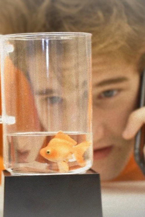 Movie poster for A Fishy State of Mind