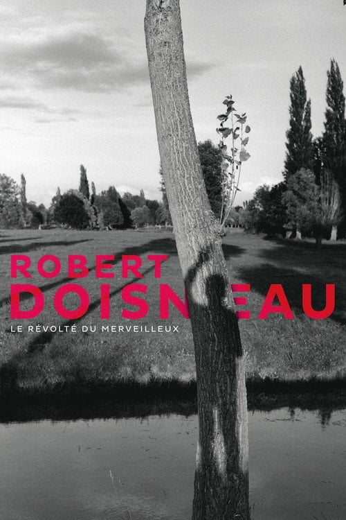 Movie poster for Robert Doisneau: Through the Lens (2017)