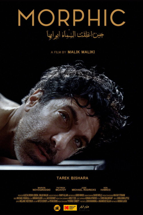 Movie poster for Morphic (2026)