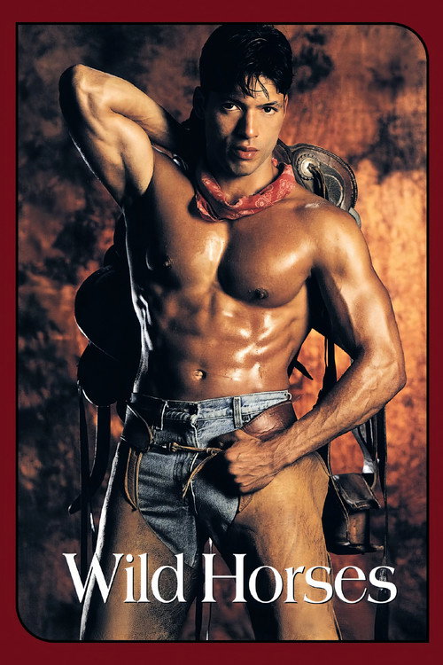 Movie poster for Wild Horses (1994)