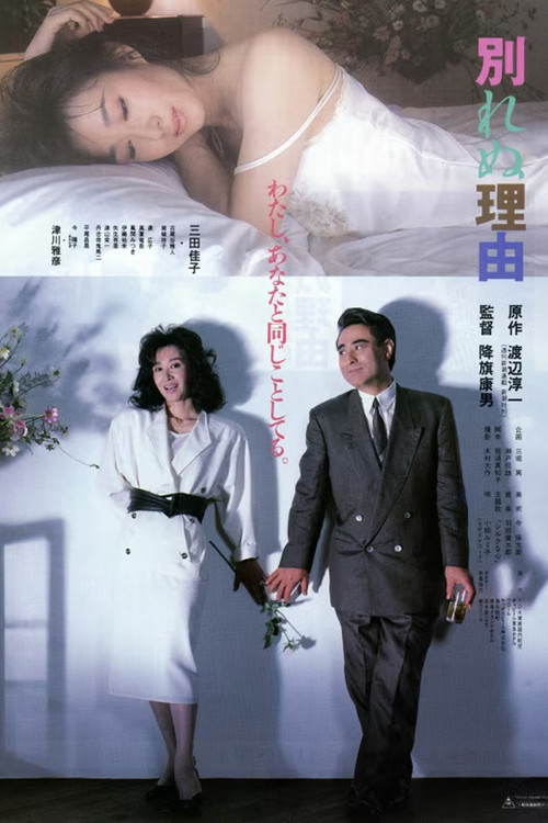 Movie poster for Reason For Not Divorcing (1987)