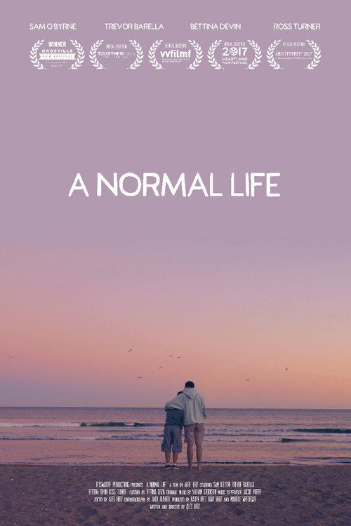 Movie poster for A Normal Life (2016)